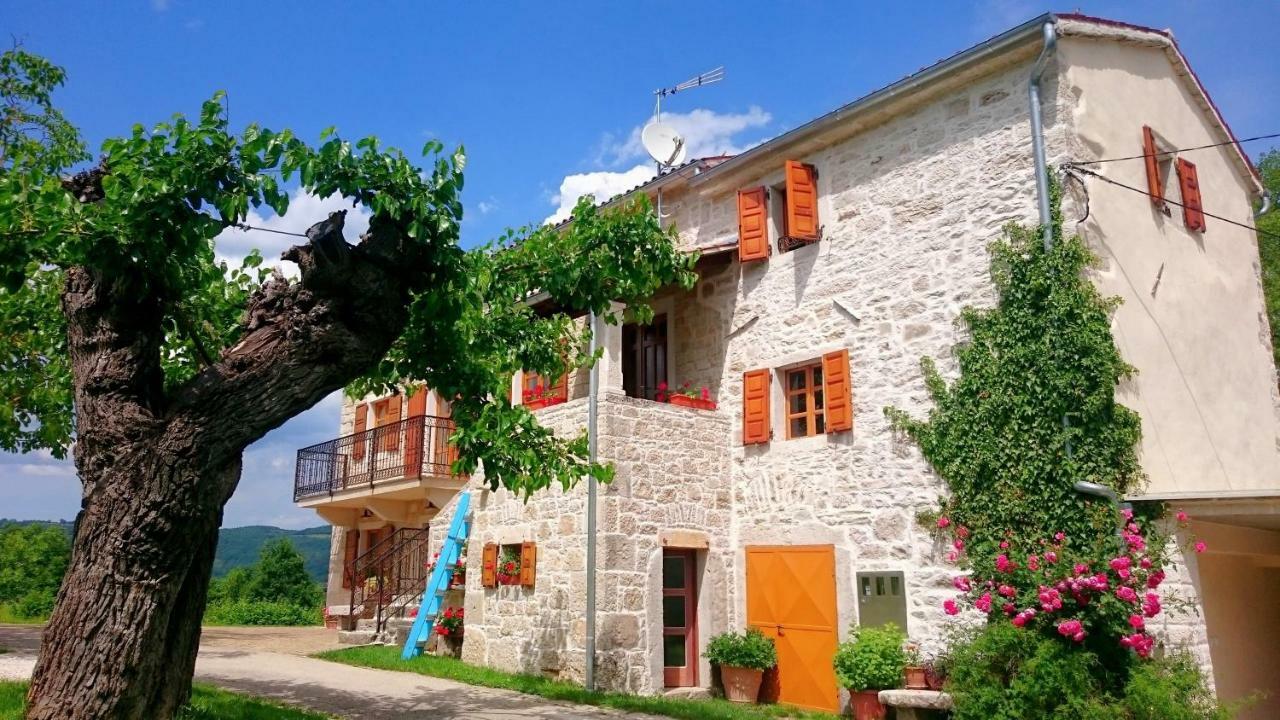 Villa Angela E Giovanni Vizinada ภายนอก รูปภาพ