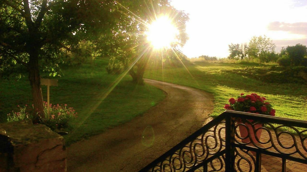 Villa Angela E Giovanni Vizinada ภายนอก รูปภาพ